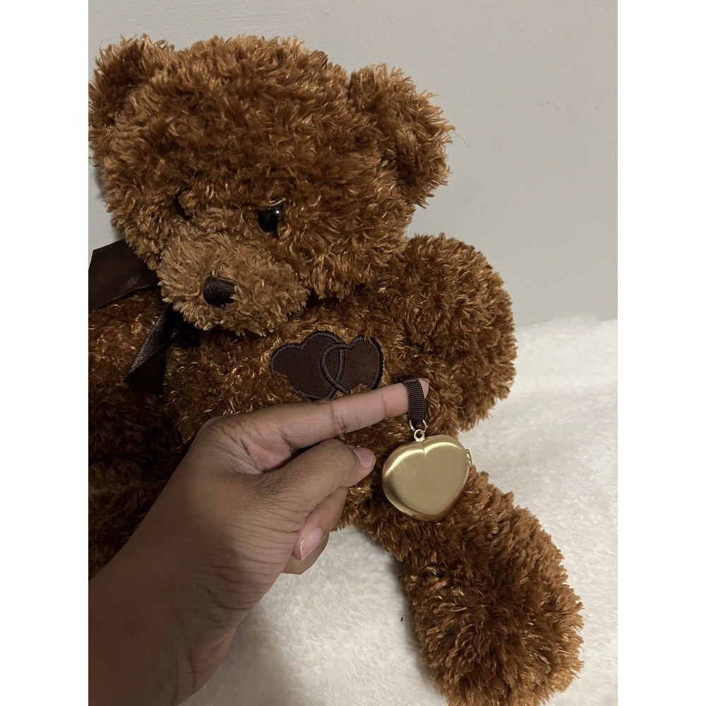 Gund Comfort Cub Brown Teddy Bear Hidden Heart lock Picture Memories Inside - Picture 8 of 9